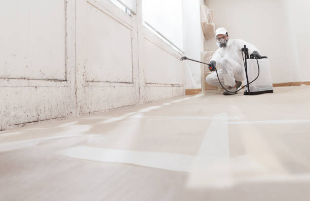 24/7 Emergency Attic Mold Removal experts in Lexington, KY