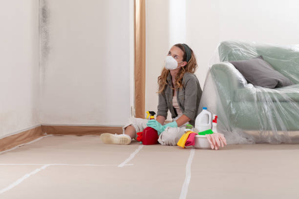 Reliable Attic Mold Removal contractor in Lexington, KY by WQB Mold Removal